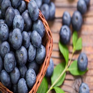 Blueberry Milkshake Hair Mask Recipe (DIY)
